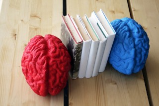 Читання розвиває не тільки інтелект, але й мозок